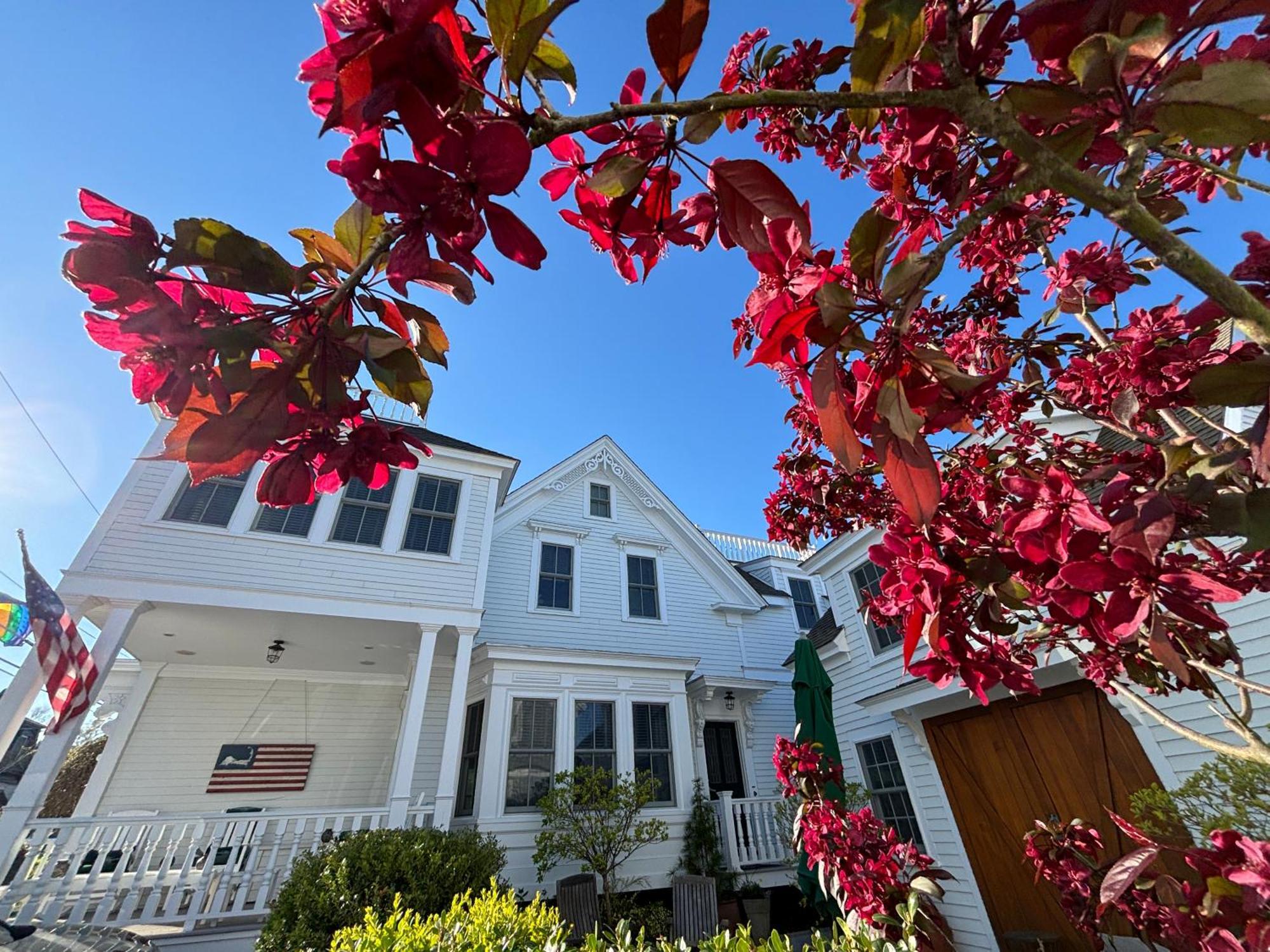 White Porch Inn Provincetown Eksteriør bilde